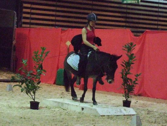 2008_1103equitalyon0147.JPG