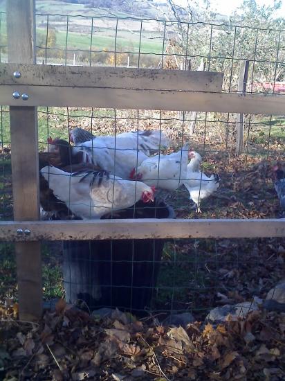 18-11-09_10111.jpg