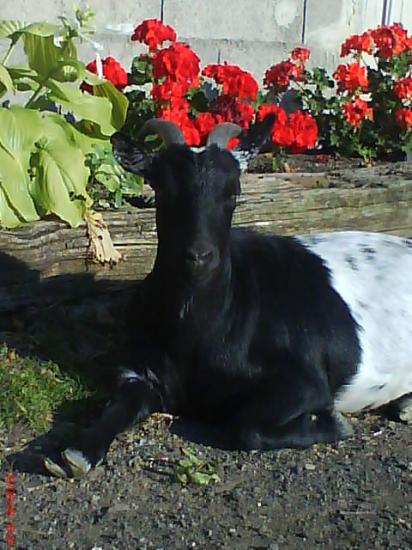 2008_1108tofportable0064.jpg