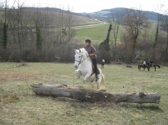 cross adulte samedi (15).JPG