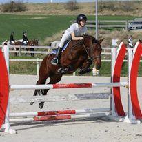 277251901 5207349445953618 2781869371536306016 n