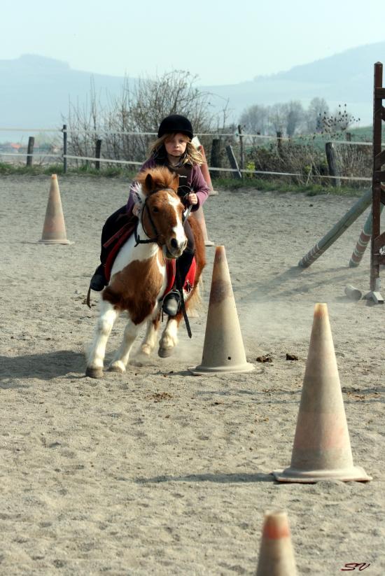 équifun 029.jpg