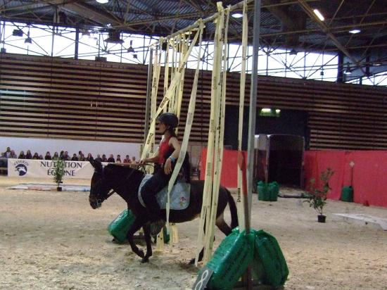 2008_1103equitalyon0162.JPG