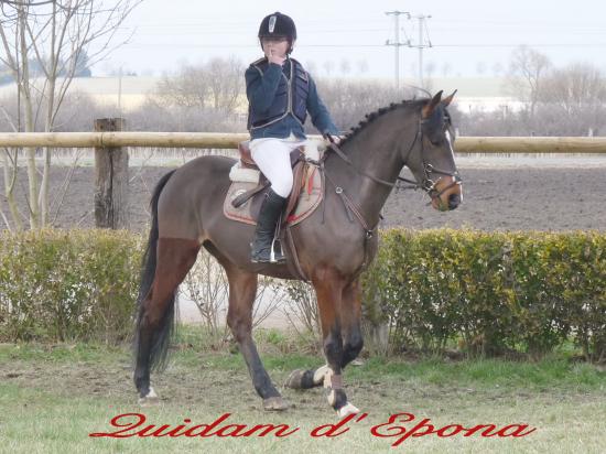 quidam