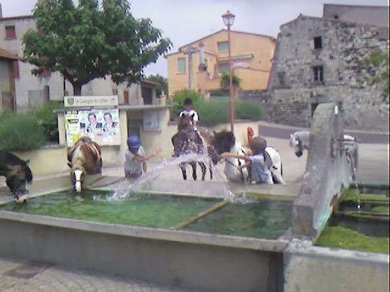SP_A2122.jpg
