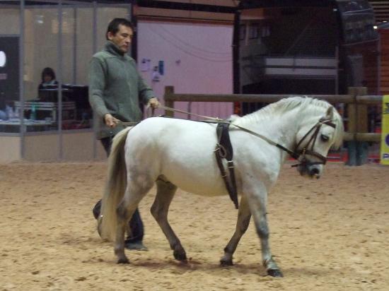 2008_1103equitalyon0168.JPG