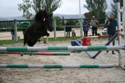 ally-mac-beal-d-epona-88.jpg