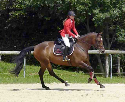 Challenger m