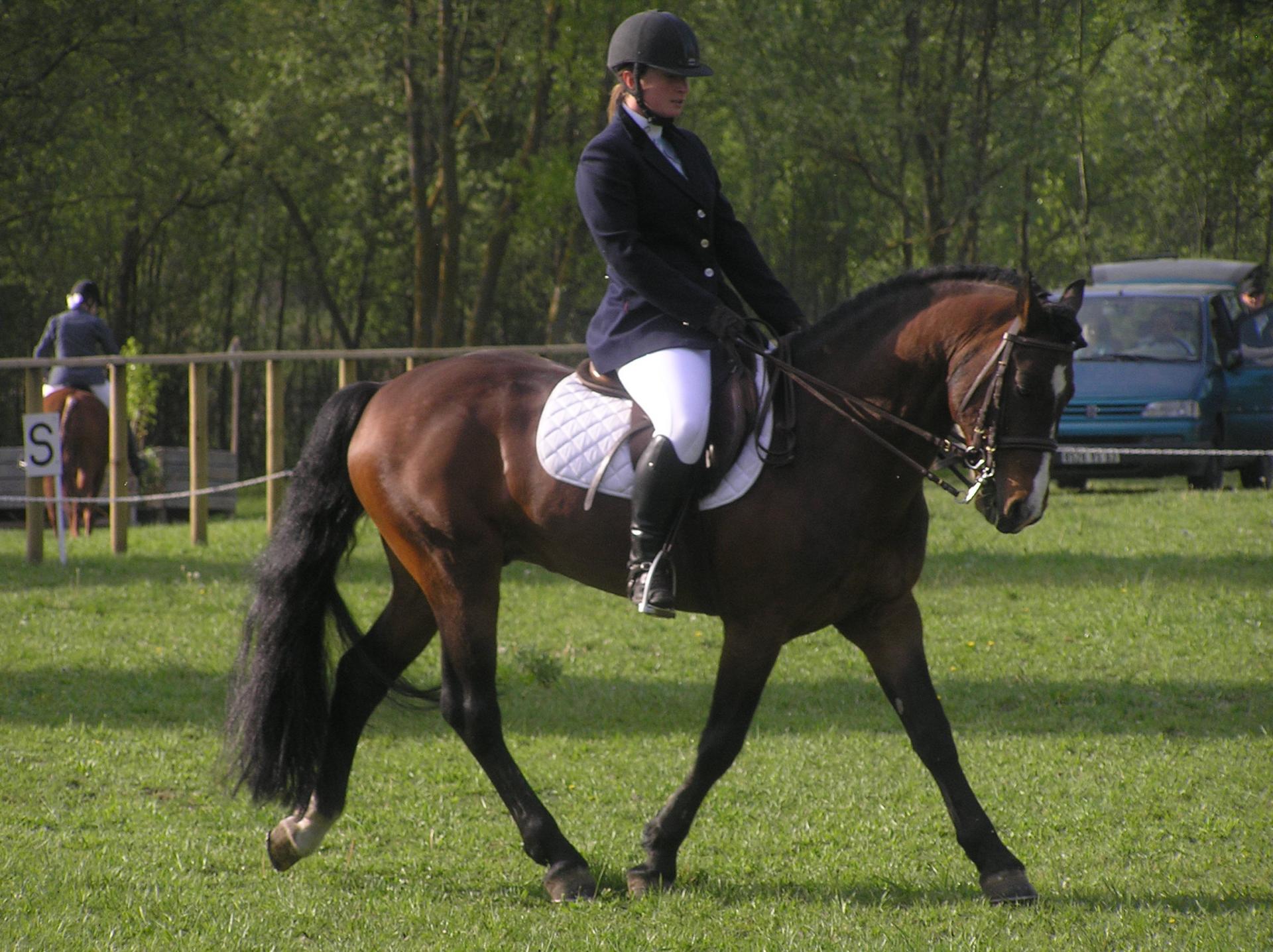 Cce pont duch 008