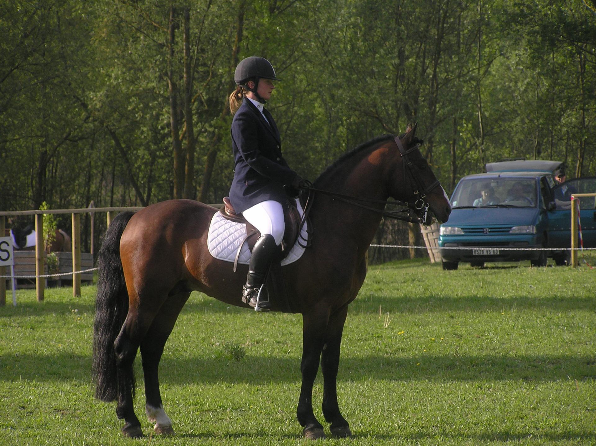 Cce pont duch 010