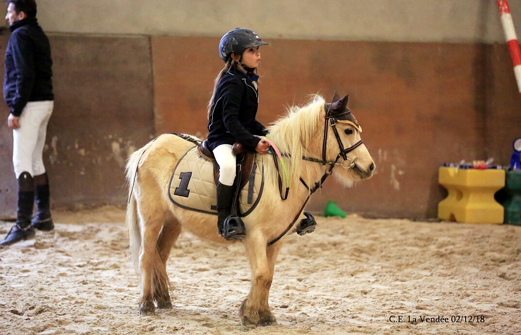 Choupette dadjuline 1 