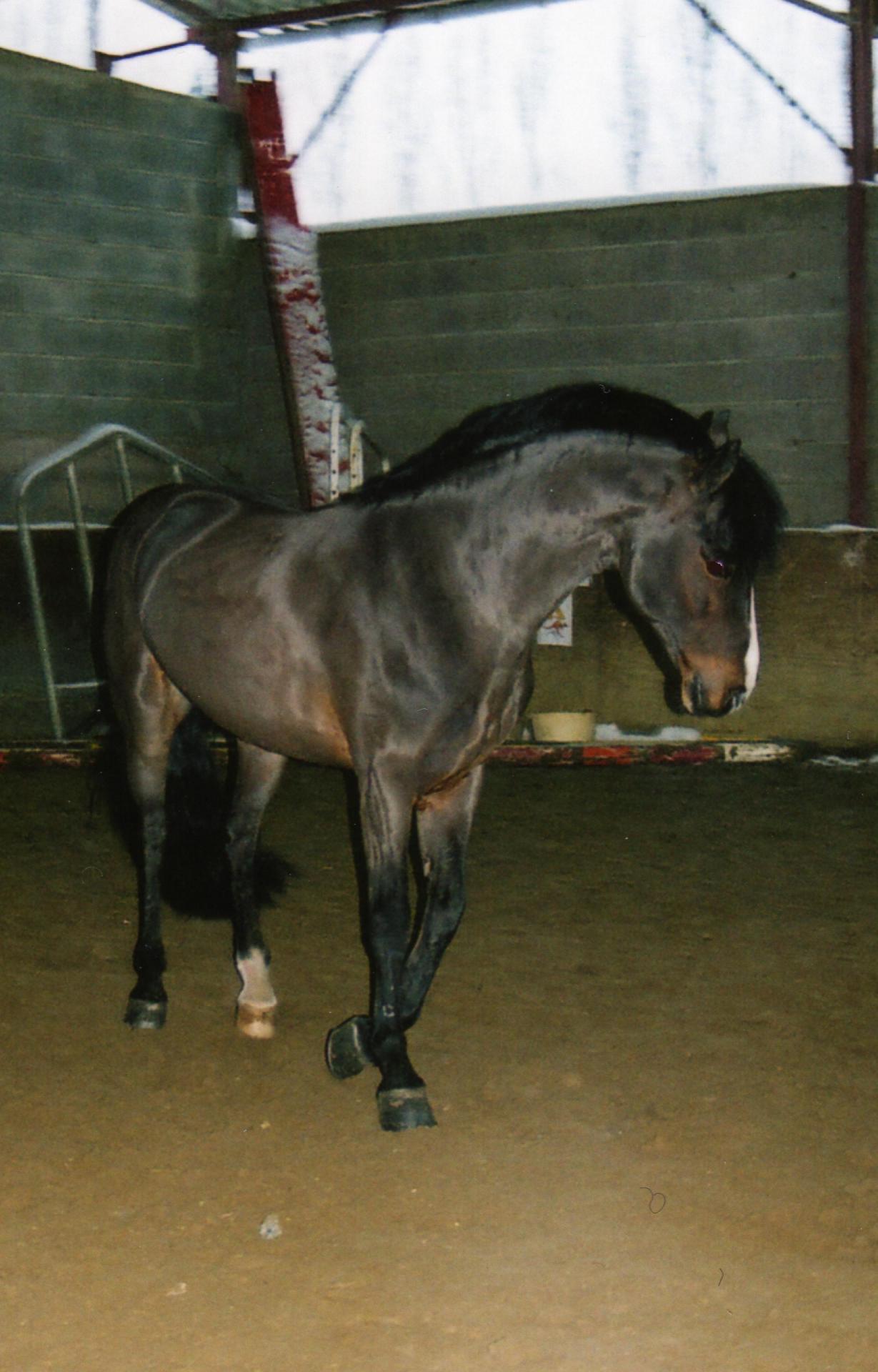 Claf tondu