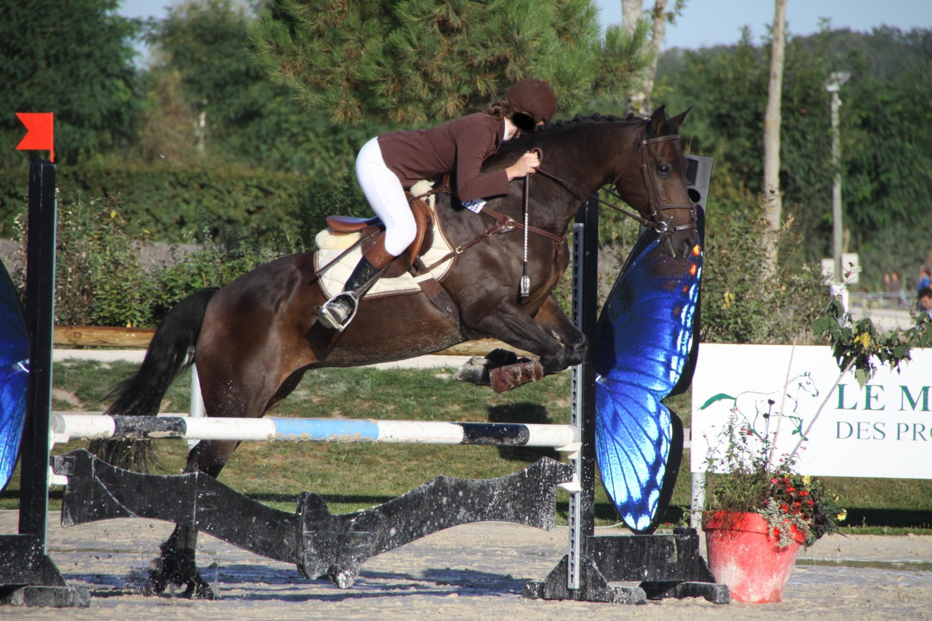 Competition 11