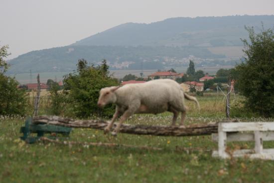cross-007.jpg