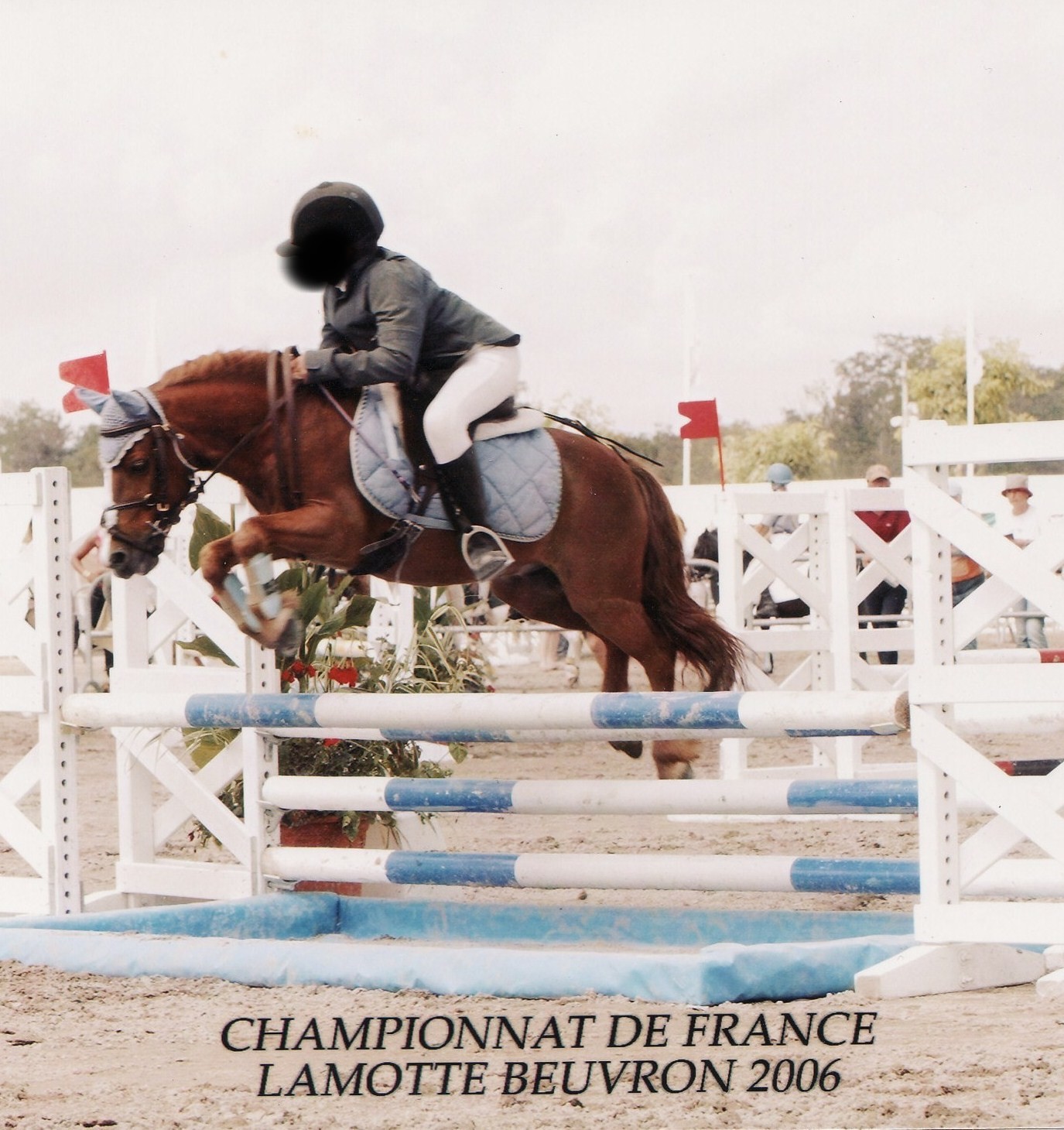 Cso shet 15