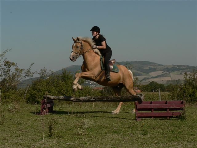 diabolo-des-landes-5.jpg