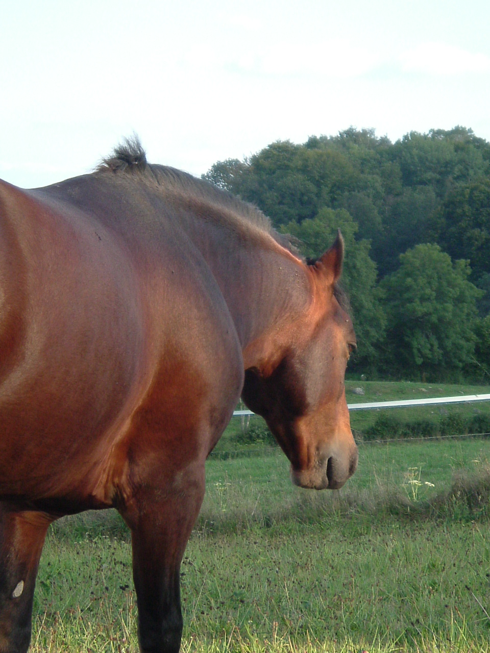 Dscf0328