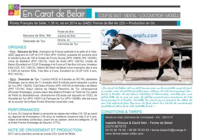 En carat as