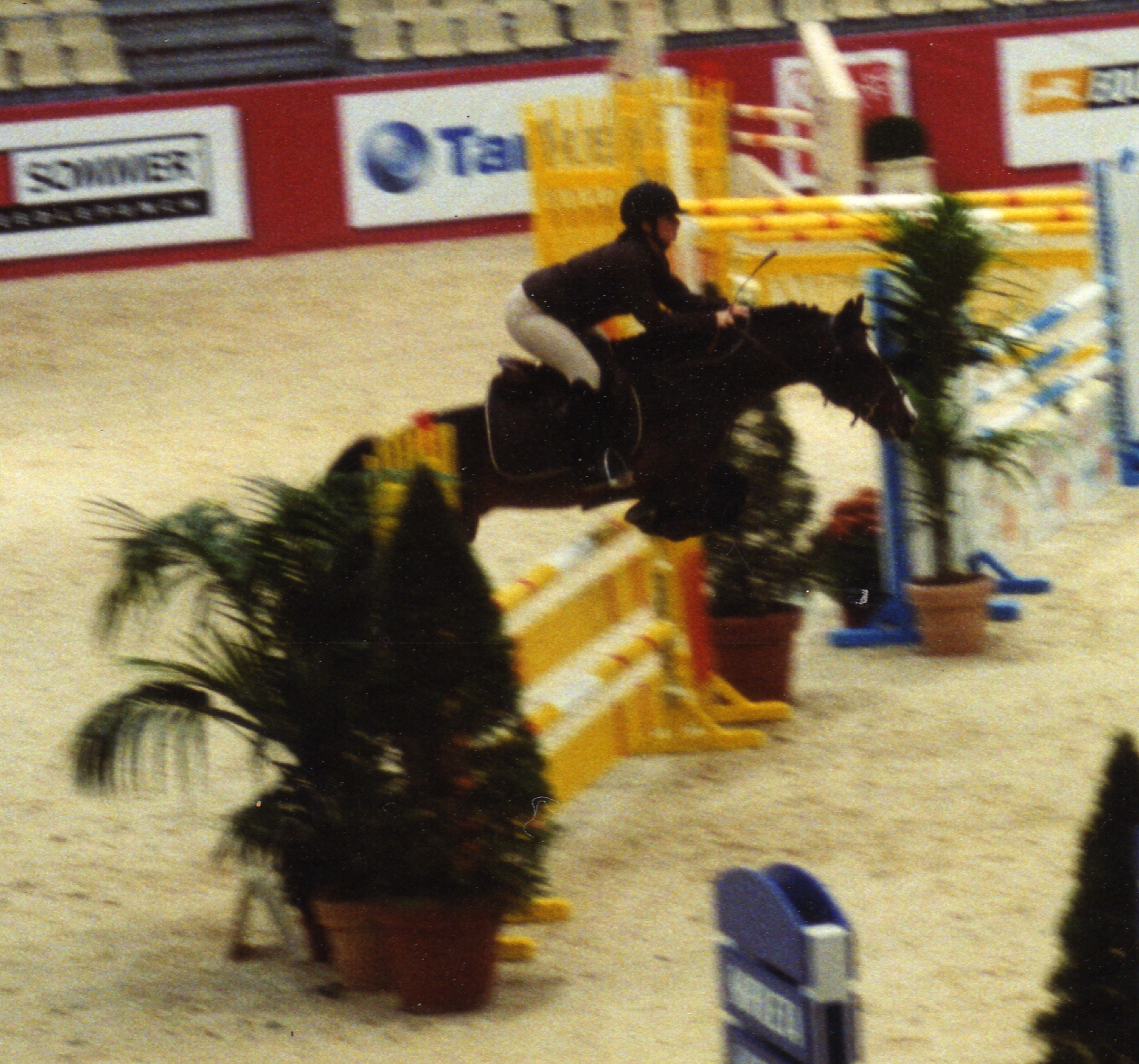 Equita lyon029