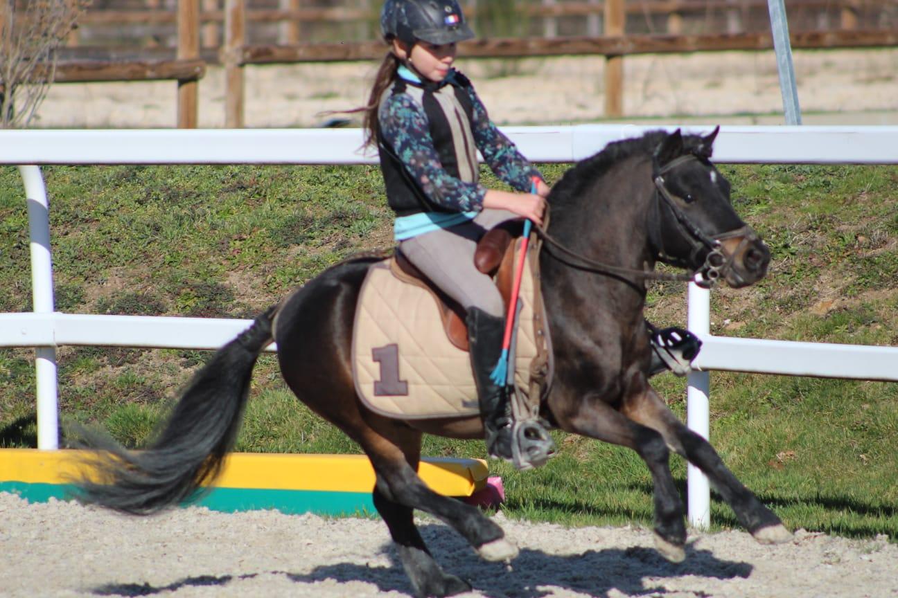 Foudre 15