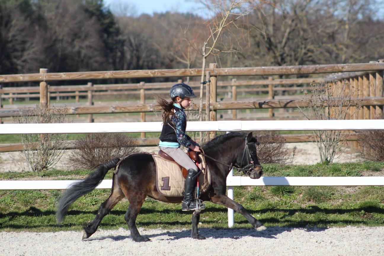 Foudre 16