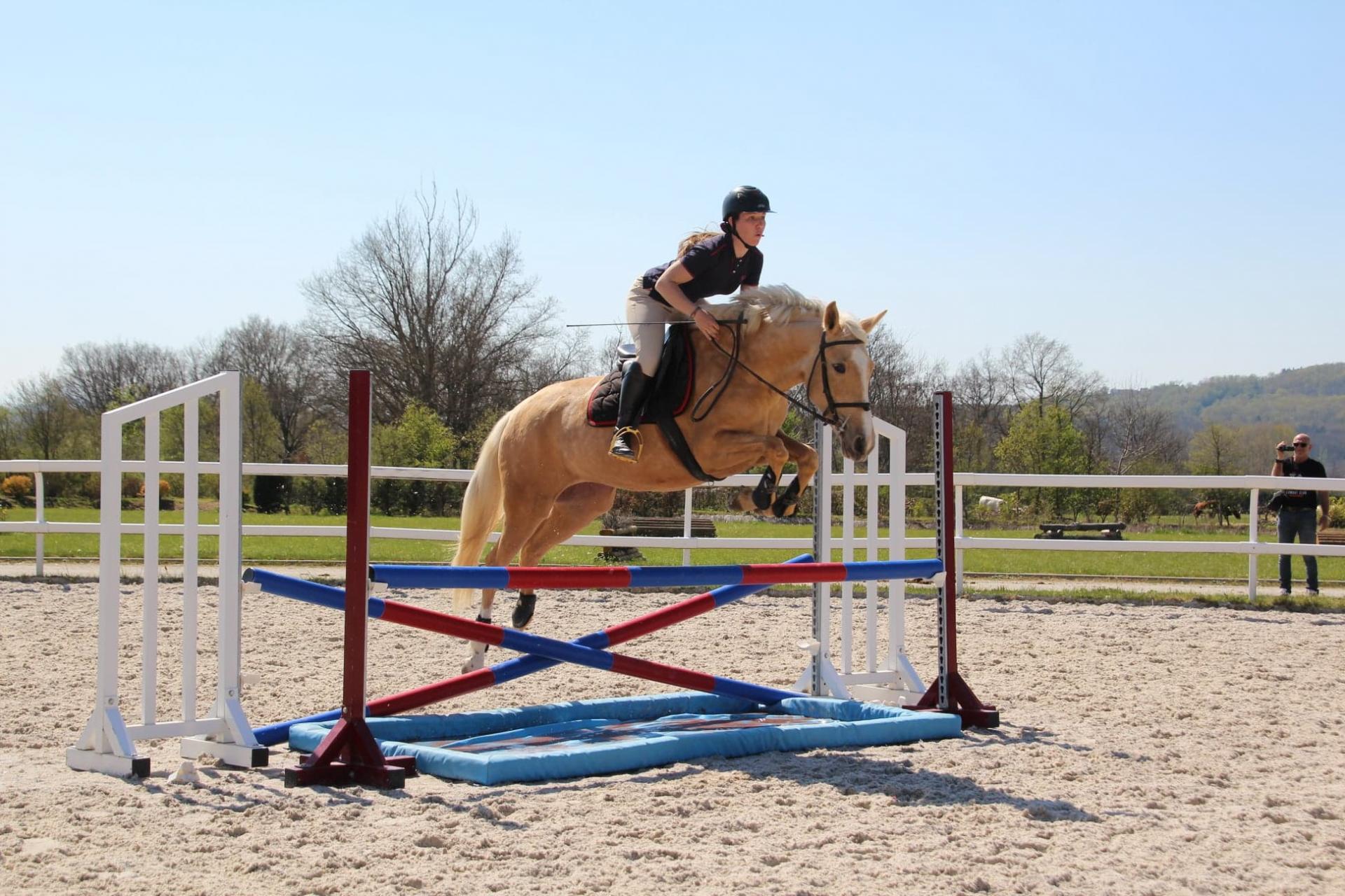 HarbarastresanD'Epona