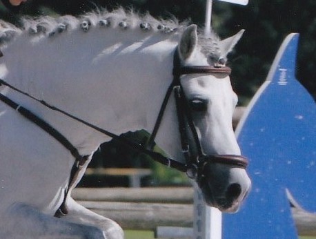 Img 20150828 0002 2