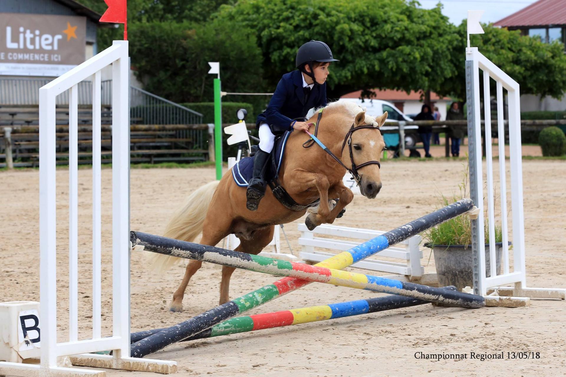 In the pocket d epona 1