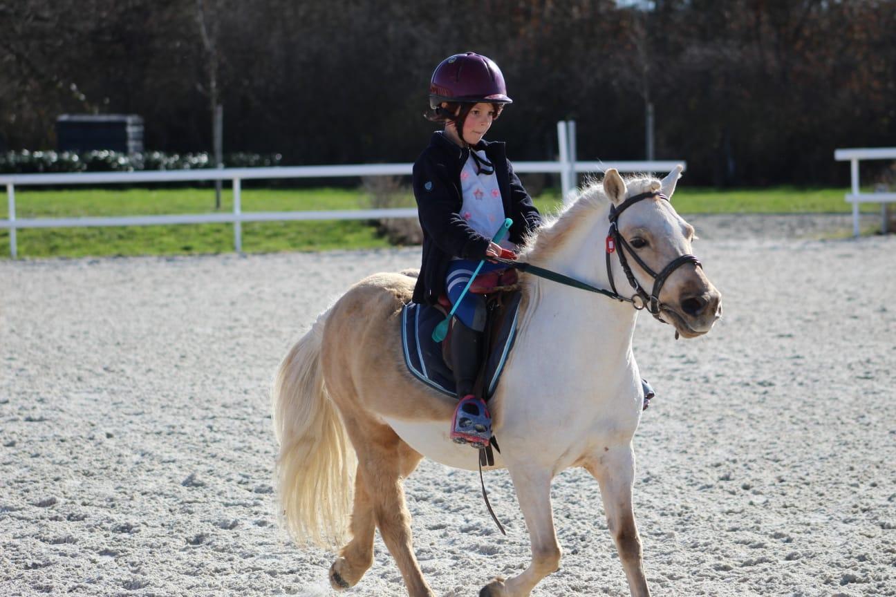 In the pocket d epona 3