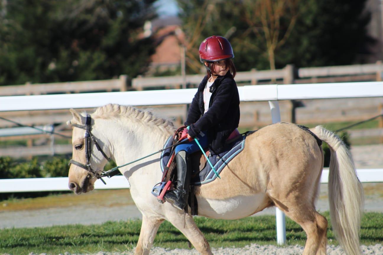 In the pocket d epona 4