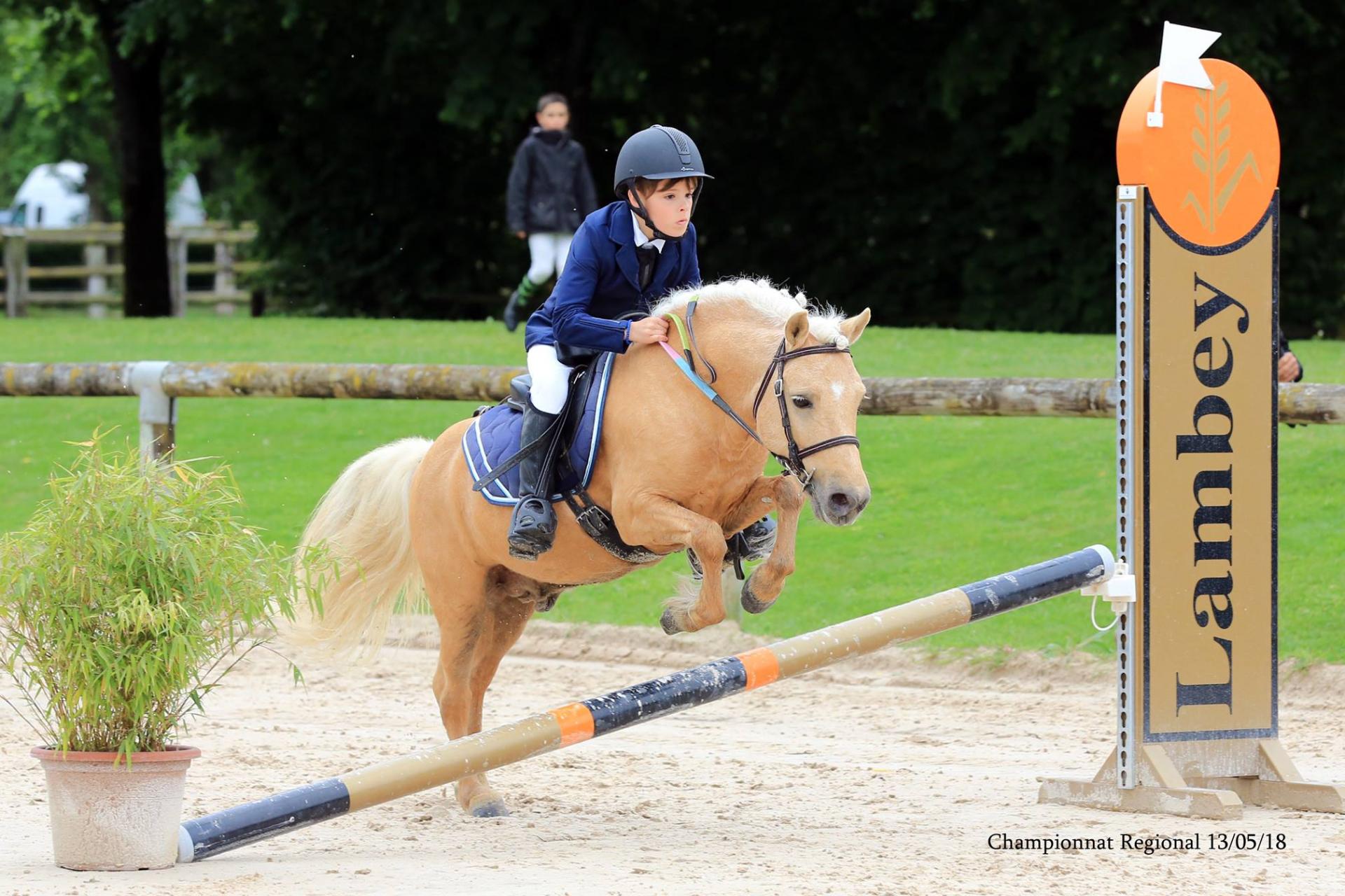 In the pocket d epona 5