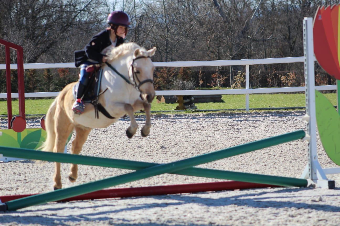 In the pocket d epona 6