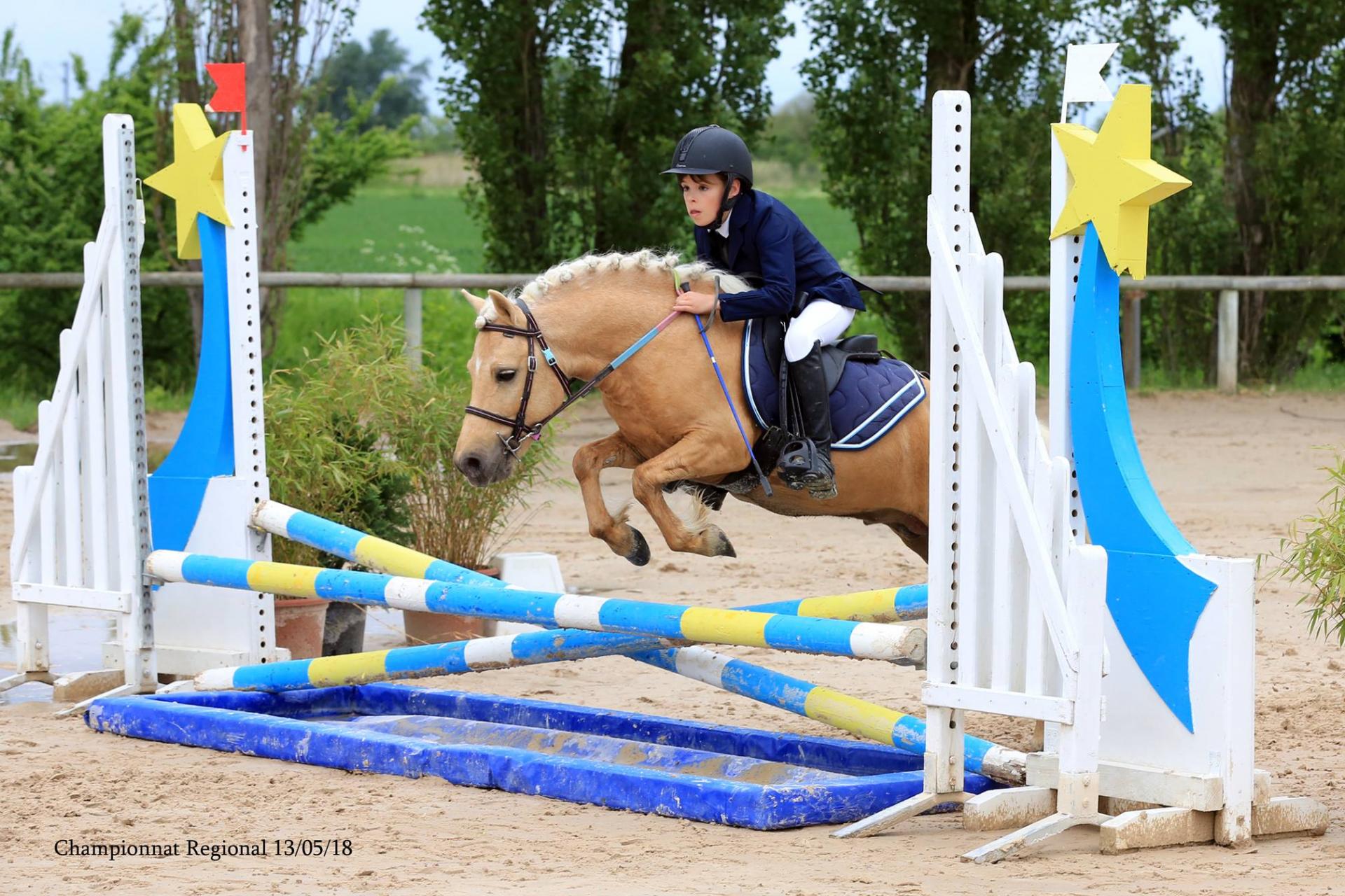 In the pocket d epona 6