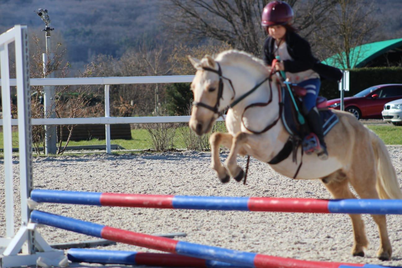 In the pocket d epona 7