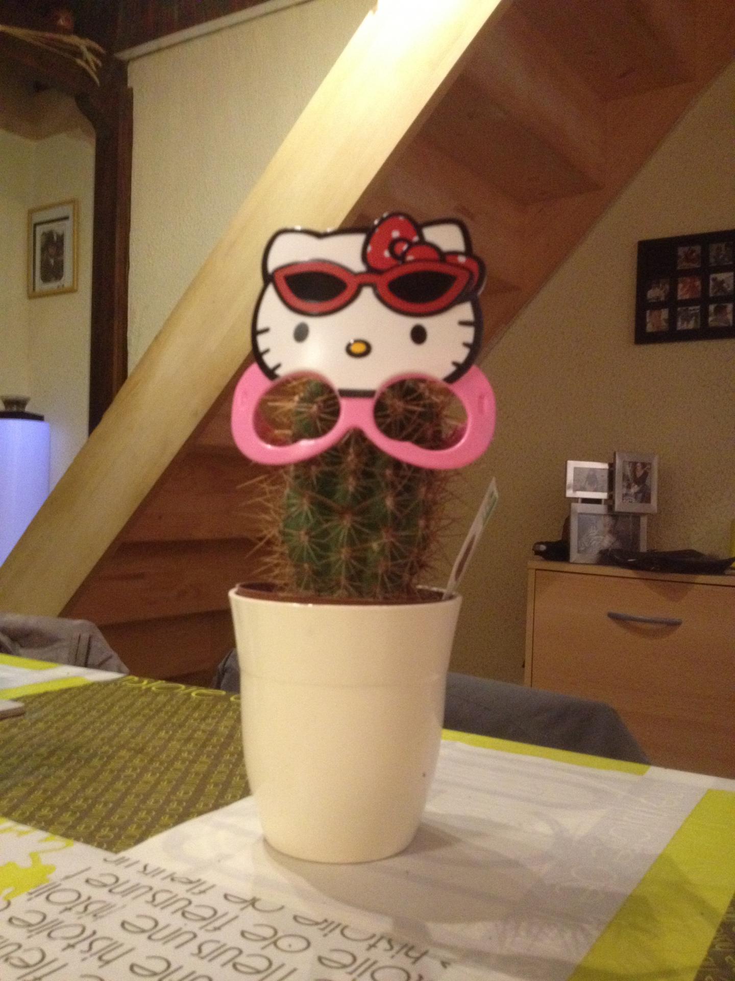 Insolite 32