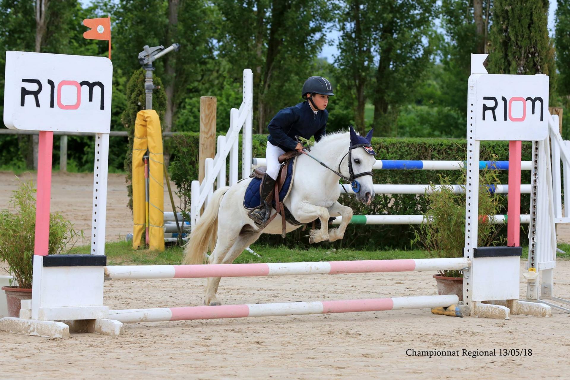 Johnny d epona 2