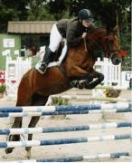 Loye champ e2
