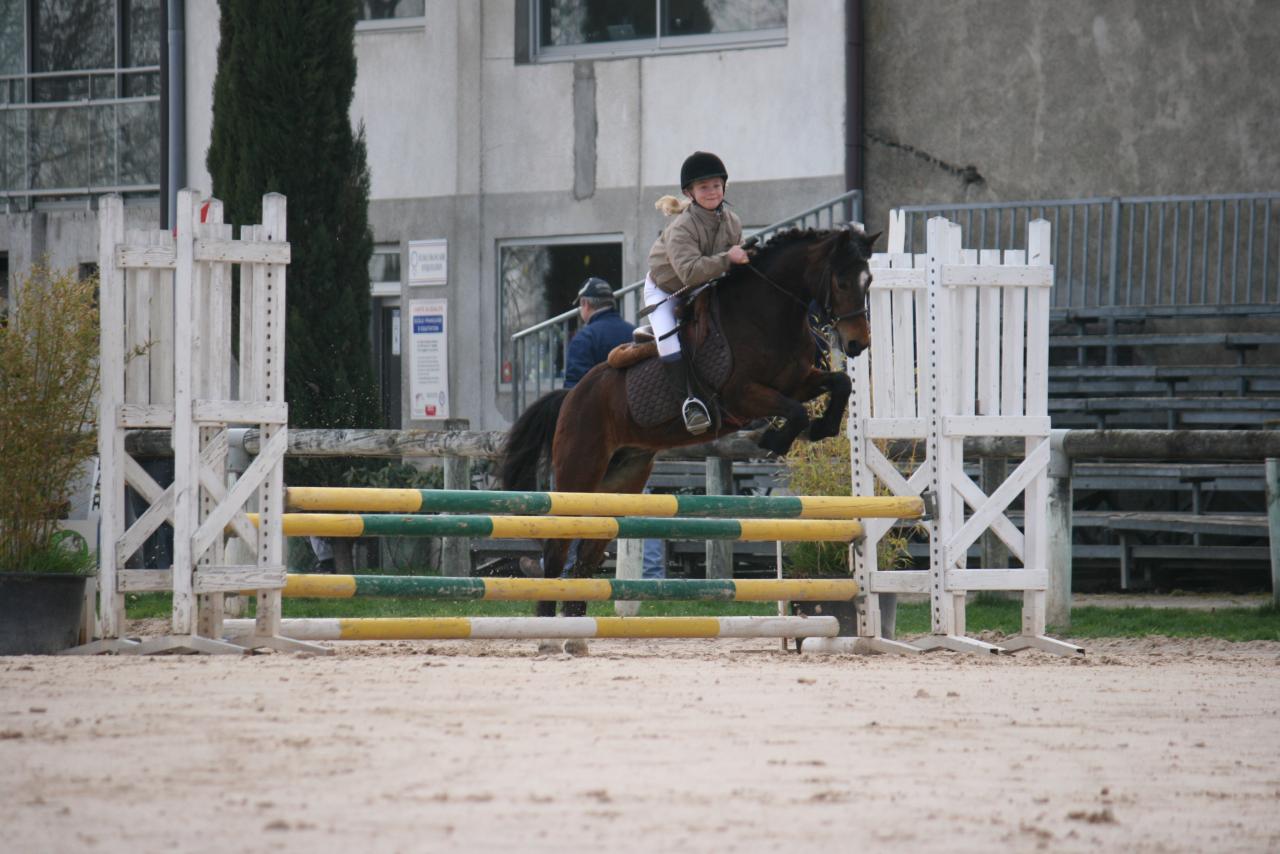 noa-2012-7.jpg
