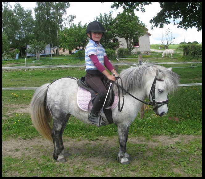 Owey