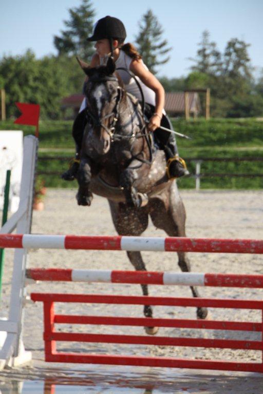 padawan-k-d-epona-111.jpg
