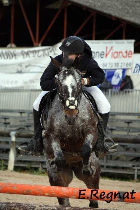 padawan-k-d-epona-29.jpg