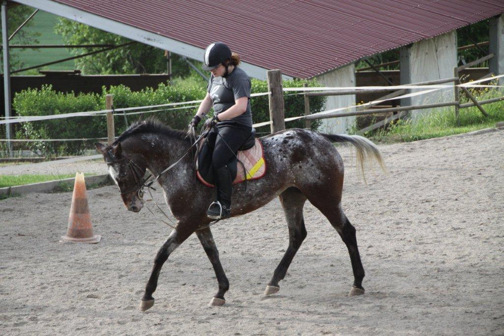padawan-k-d-epona-54.jpg