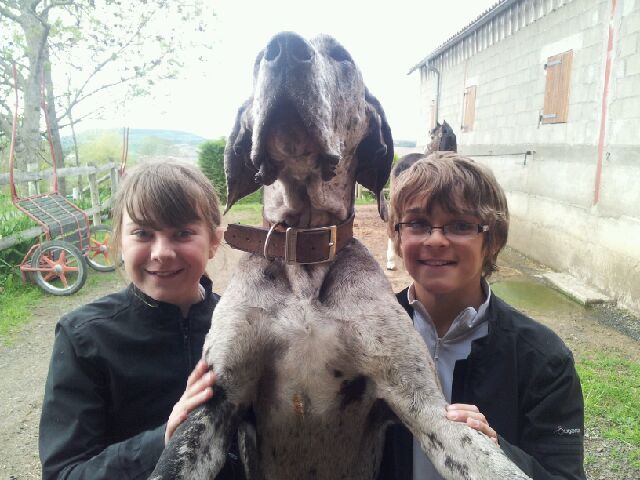 Photo 6