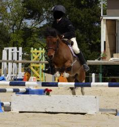polka-d-epona-4.jpg