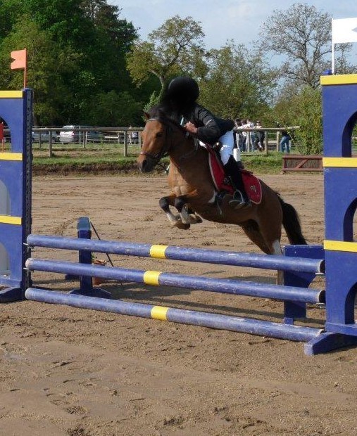 polka-d-epona-6.jpg