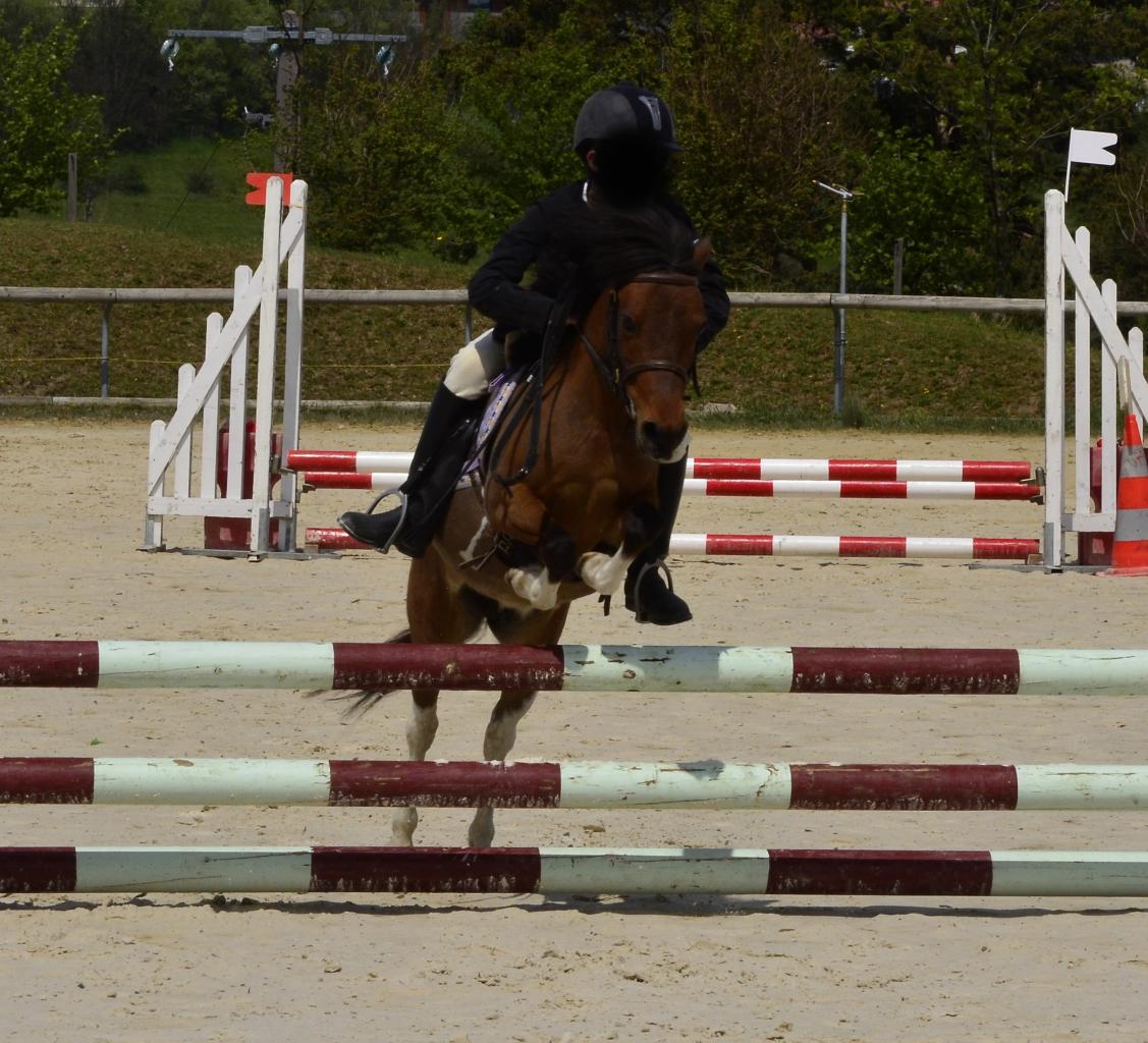 polka-d-epona-7.jpg