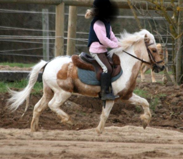 poly-pocket-d-epona-1.jpg