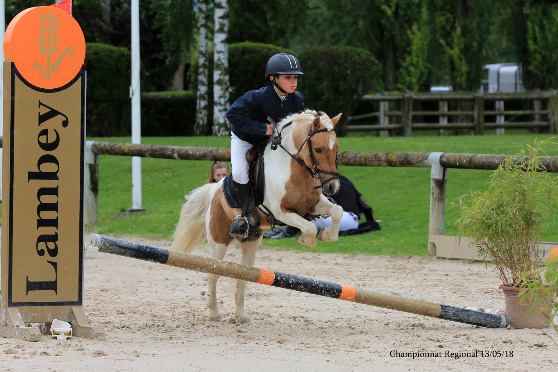 Poly pocket d epona 2
