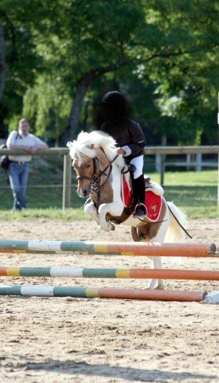 poly-pocket-d-epona-2.jpg