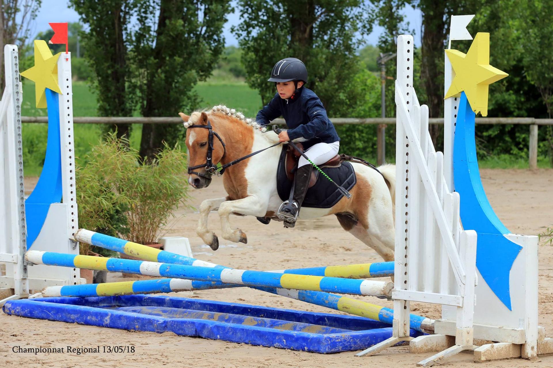 Poly pocket d epona 3